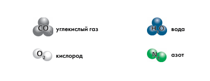 Гидролизный участок